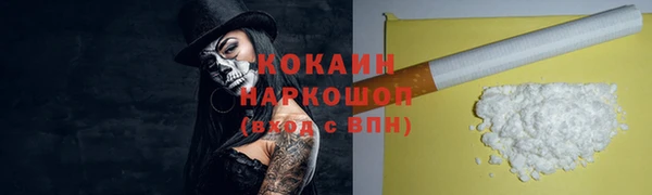 прущие грибы Осташков