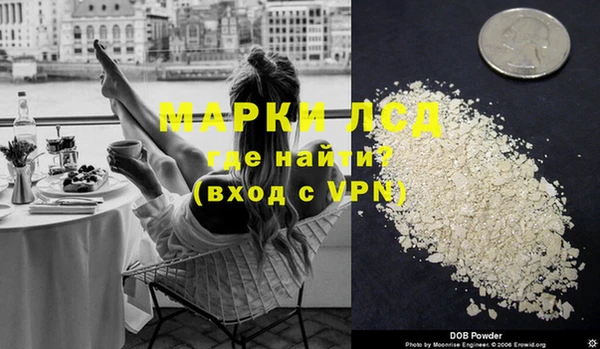 прущие грибы Осташков