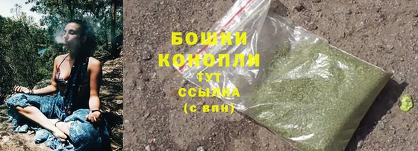 прущие грибы Осташков