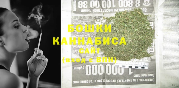 прущие грибы Осташков