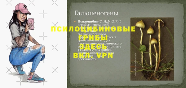 прущие грибы Осташков